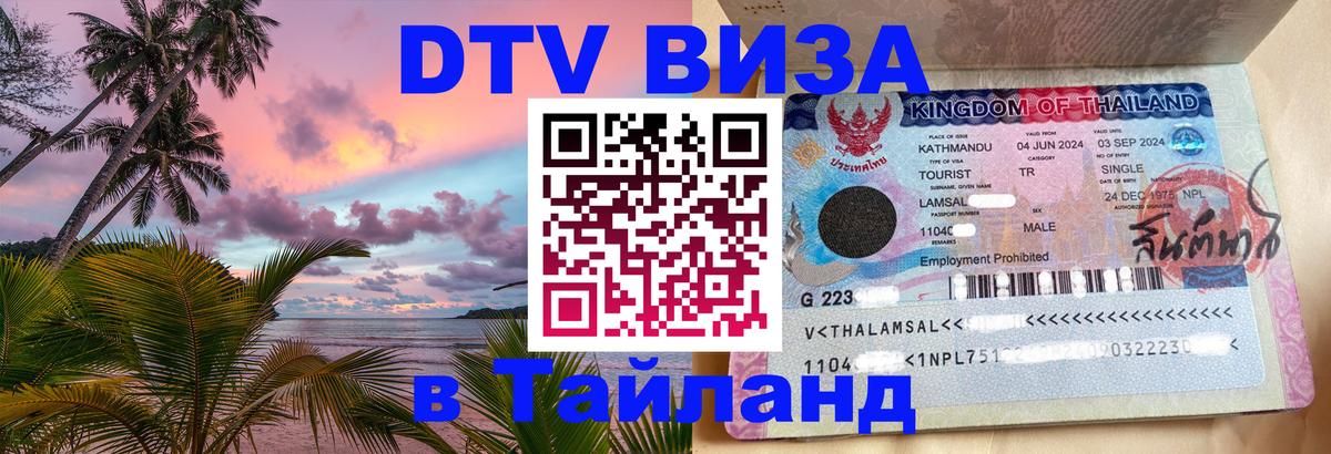 Оформление DTV визы под ключ: стоимость и тарифы, только загранпаспорт - 